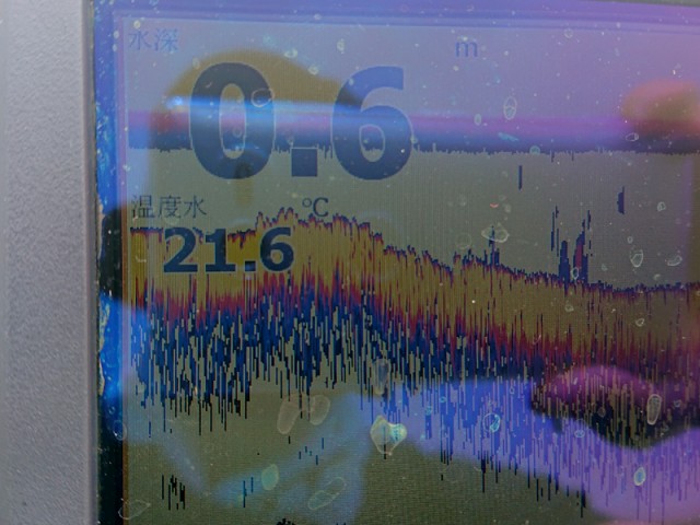 プロショップオオツカ バスフィッシング用品ネット通信販売 ブログ写真 2019/04/29