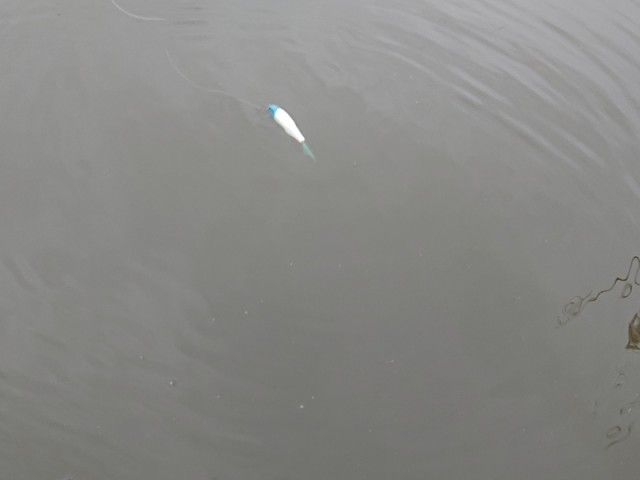 プロショップオオツカ バスフィッシング用品ネット通信販売 ブログ写真 2019/05/18