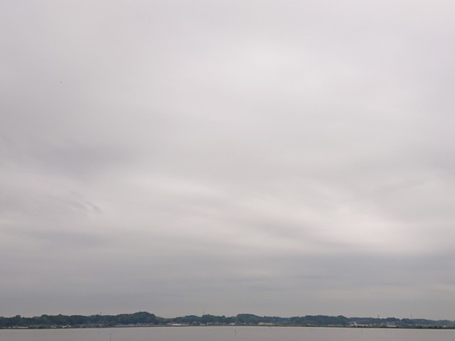 プロショップオオツカ バスフィッシング用品ネット通信販売 ブログ写真 2019/05/18