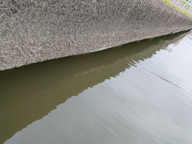 プロショップオオツカ バスフィッシング用品ネット通信販売 ブログ写真 2019/05/18