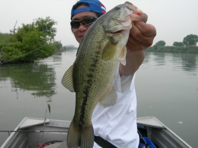 プロショップオオツカ・バスフィッシング用品専門サイト ブログ写真 2009/05/15