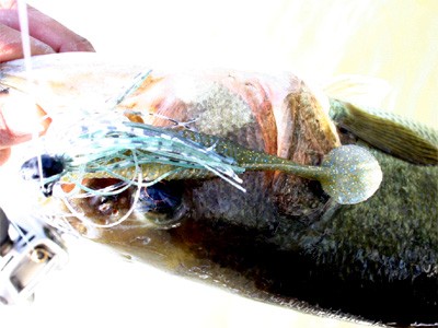 プロショップオオツカ・バスフィッシング用品専門サイト ブログ写真 2009/05/16