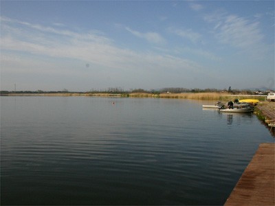 プロショップオオツカ・バスフィッシング用品専門サイト ブログ写真 2009/05/16