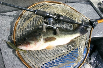 プロショップオオツカ・バスフィッシング用品専門サイト ブログ写真 2009/05/16