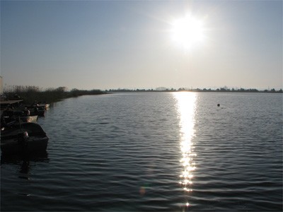 プロショップオオツカ・バスフィッシング用品専門サイト ブログ写真 2009/05/16