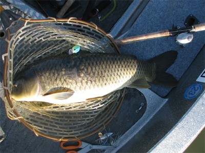 プロショップオオツカ・バスフィッシング用品専門サイト ブログ写真 2009/05/16