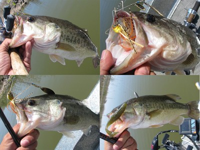 プロショップオオツカ・バスフィッシング用品専門サイト ブログ写真 2009/05/16