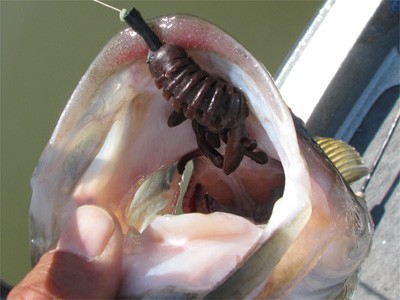 プロショップオオツカ・バスフィッシング用品専門サイト ブログ写真 2009/05/16