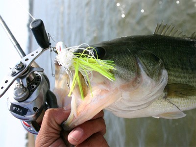 プロショップオオツカ・バスフィッシング用品専門サイト ブログ写真 2009/05/16