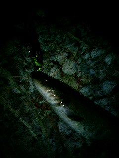 070828_024059.jpg