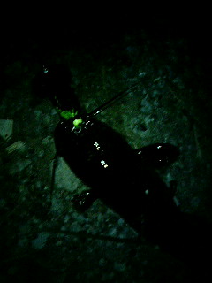 070828_025052.jpg